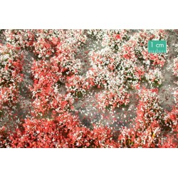 Silhouette 72622S Blomsterklaser sommerr 1: 87 ca 15x8 cm