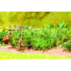 Noch 14112 Laser-Cut minis "Zucchini"