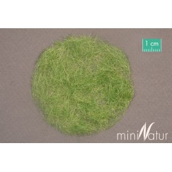 Silhouette 006-33 Gras-Flock 6,5 mm Frühherbst 1 : 45+ 50 g