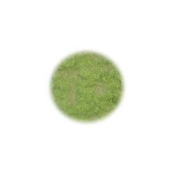 Silhouette 002-21 Gras-Flock 2 mm Frühling 1 : 87 50 g