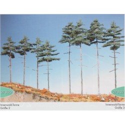 Silhouette 278-32 Midtskov-grantræ sommer 4 3